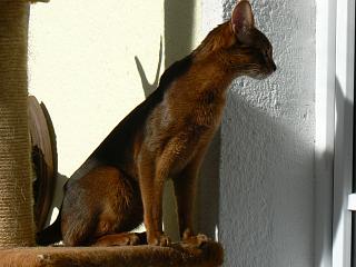 P1000397.JPG (14283 Byte)