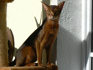 P1000398.JPG (14324 Byte)