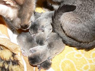 P1000473.JPG (21590 Byte)