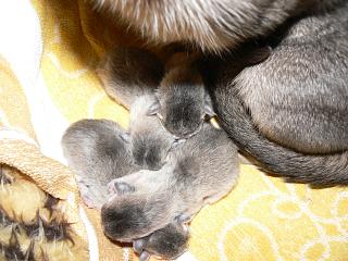 P1000474.JPG (19030 Byte)