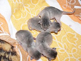 P1000476.JPG (18641 Byte)