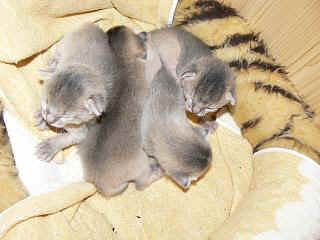 P1000523.JPG (16430 Byte)