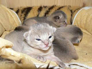 P1000524.JPG (15710 Byte)