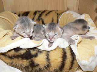 P1000525.JPG (18032 Byte)