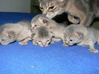 P1000529.JPG (16507 Byte)