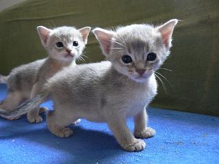 P1000615.JPG (13559 Byte)