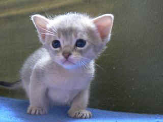 P1000626.JPG (11712 Byte)