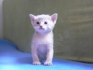 P1000633.JPG (8949 Byte)