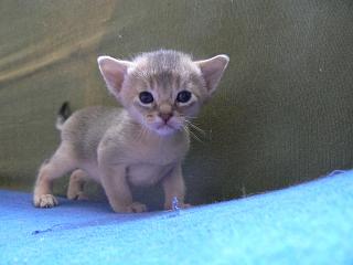 P1000653.JPG (10719 Byte)