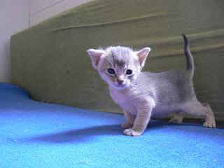 P1000660.JPG (11136 Byte)