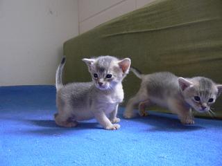 P1000662.JPG (10231 Byte)