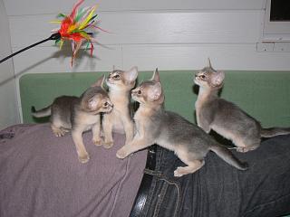 P1000768.JPG (12677 Byte)