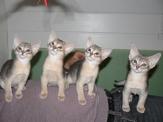 P1000773.JPG (11967 Byte)