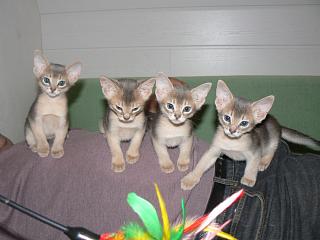 P1000774.JPG (12957 Byte)