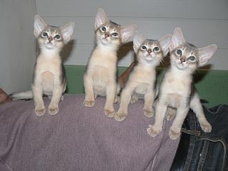 P1000775.JPG (12358 Byte)