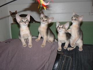 P1000779.JPG (13487 Byte)