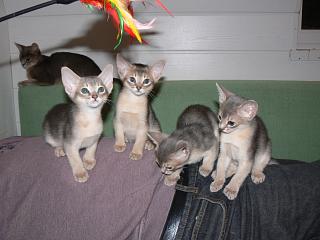 P1000780.JPG (13336 Byte)