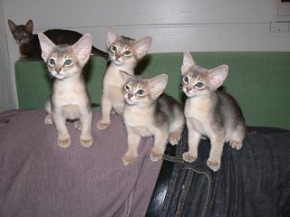 P1000782.JPG (13358 Byte)