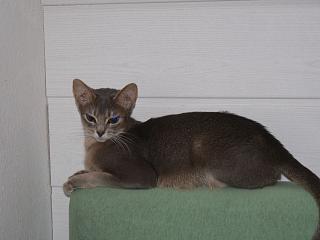 P1000783.JPG (8596 Byte)