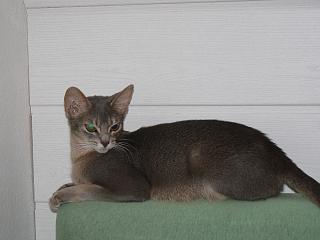 P1000784.JPG (9321 Byte)