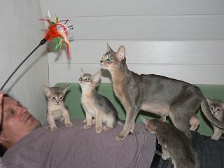 P1000787.JPG (12107 Byte)