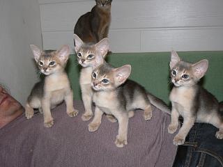 P1000789.JPG (12546 Byte)