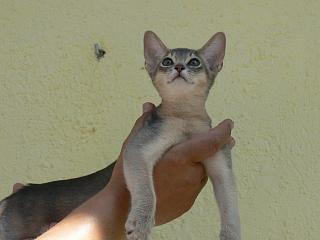 P1010168.JPG (9509 Byte)