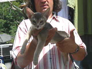 P1010169.JPG (69198 Byte)