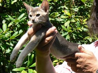 P1010172.JPG (25777 Byte)