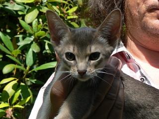 P1010176.JPG (19172 Byte)