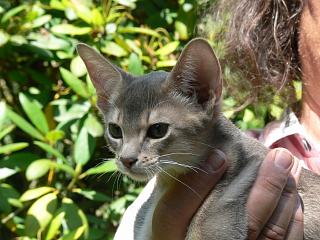 P1010177.JPG (21150 Byte)