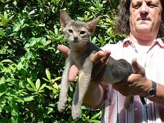 P1010179.JPG (28772 Byte)