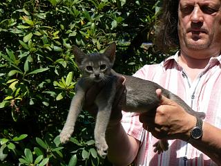 P1010181.JPG (25217 Byte)