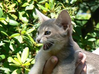 P1010182.JPG (20495 Byte)