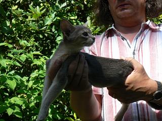 P1010185.JPG (23080 Byte)