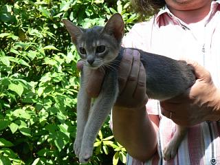 P1010186.JPG (23901 Byte)