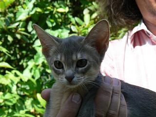 P1010187.JPG (17532 Byte)