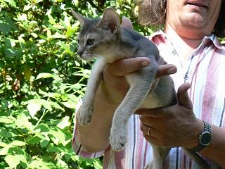 P1010192.JPG (23946 Byte)