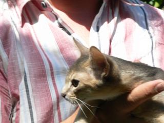 P1010195.JPG (14989 Byte)