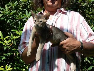 P1010197.JPG (24246 Byte)