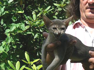 P1010205.JPG (83055 Byte)