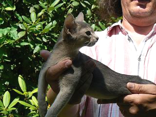 P1010206.JPG (76532 Byte)