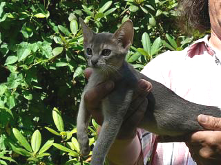 P1010207.JPG (81874 Byte)