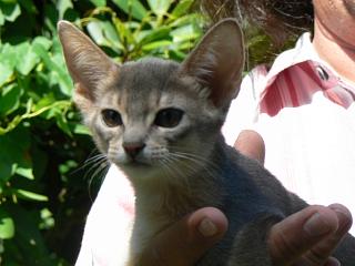 P1010208.JPG (15127 Byte)