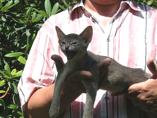 P1010212.JPG (75853 Byte)