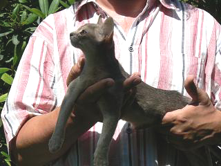 P1010213.JPG (70500 Byte)