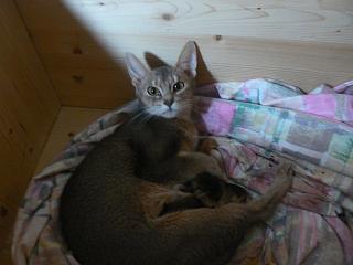 P1010301.JPG (11274 Byte)