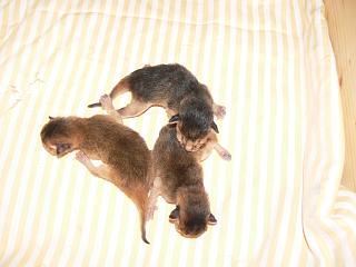 P1010315.JPG (11657 Byte)