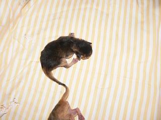 P1010317.JPG (11635 Byte)