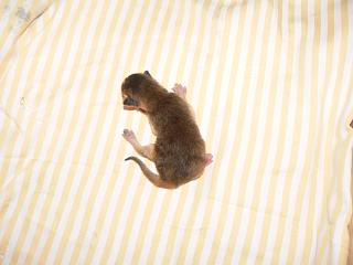 P1010318.JPG (10521 Byte)